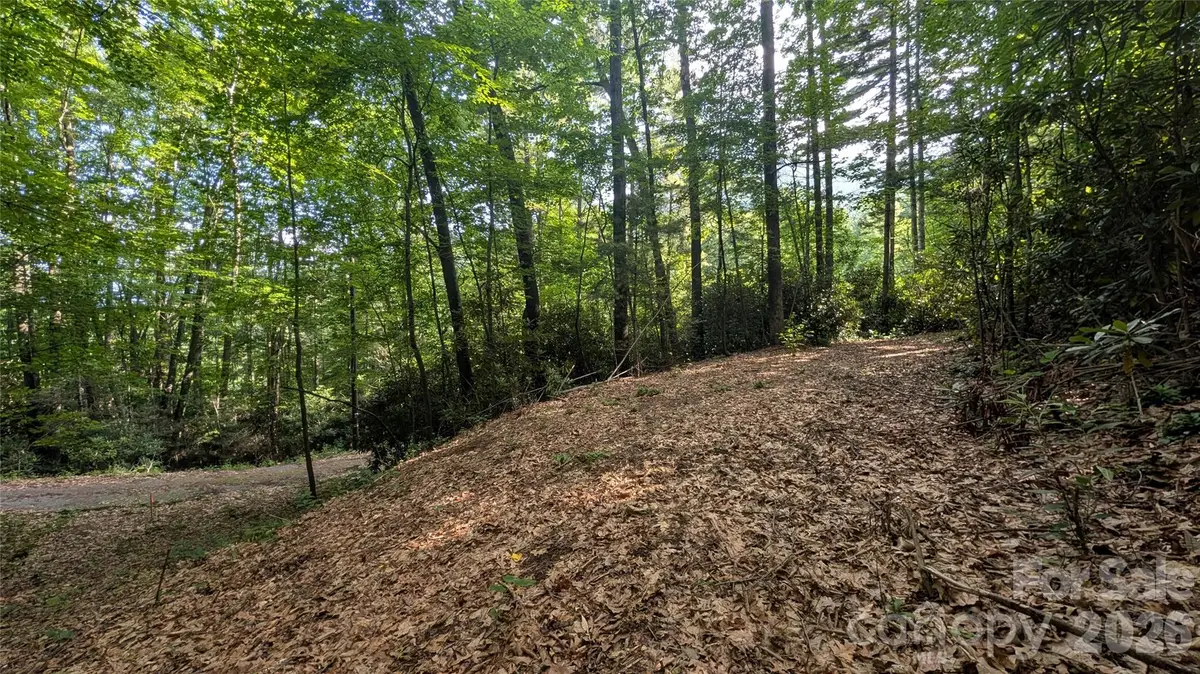 00 Chestnut Walk #3,4,5, Waynesville, NC 28786 - #1