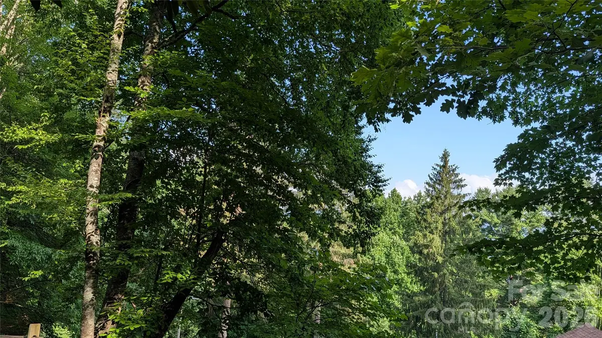 00 Chestnut Walk #6,7,8, Waynesville, NC 28786 - #1