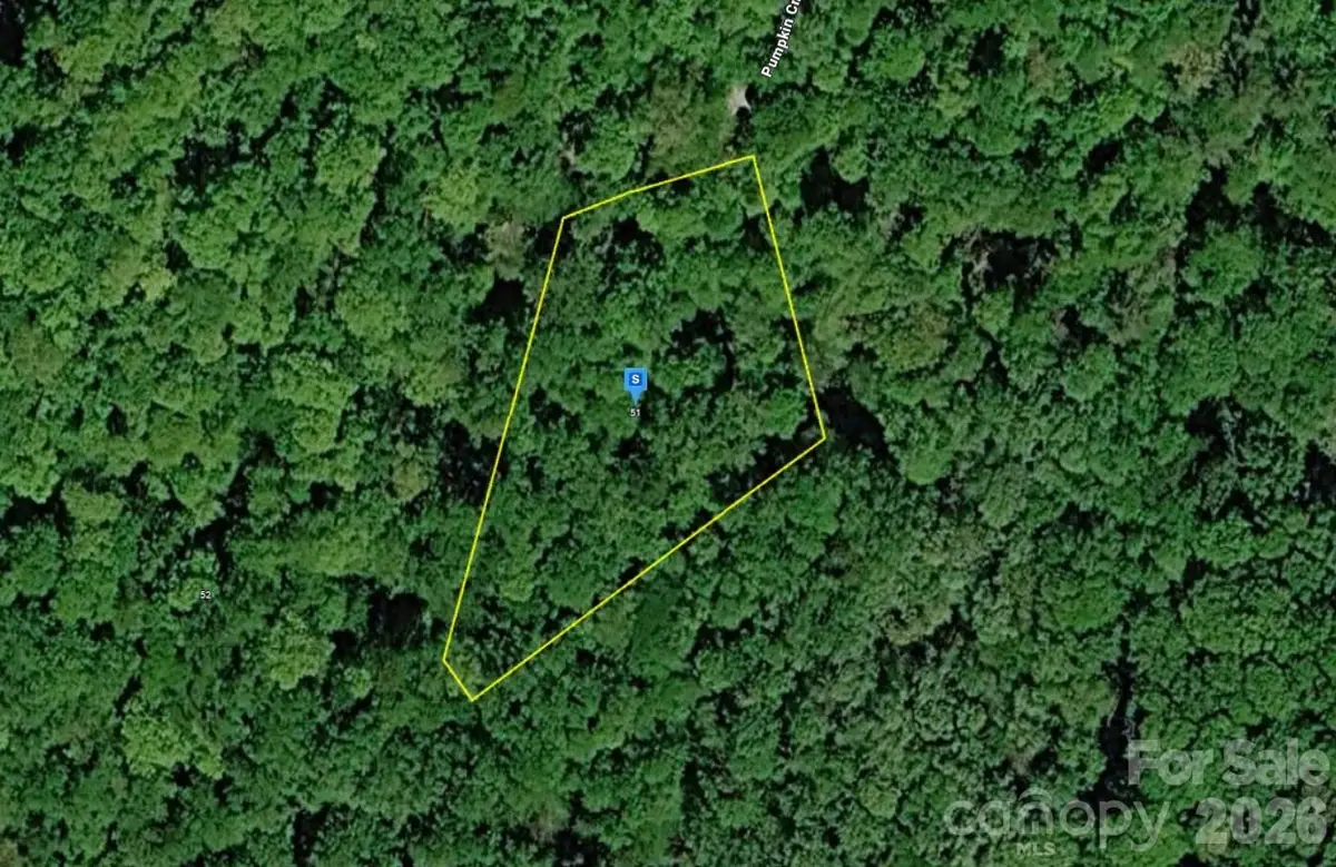 51 Pumpkin Creek Lane, Cullowhee, NC 28723 - #1