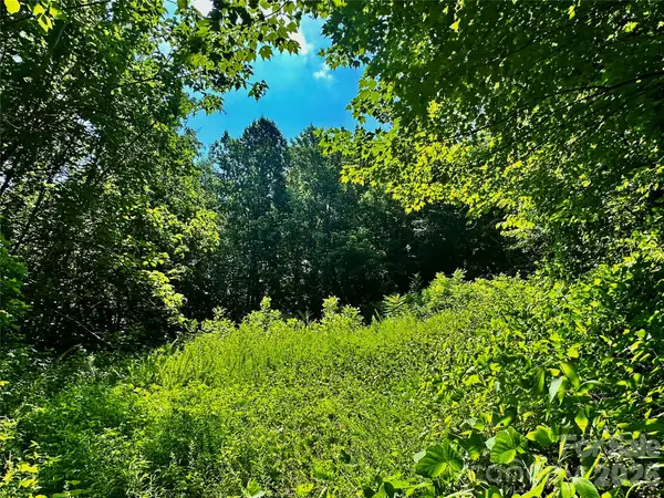 75 Fork Creek Road, Saluda, NC 28773