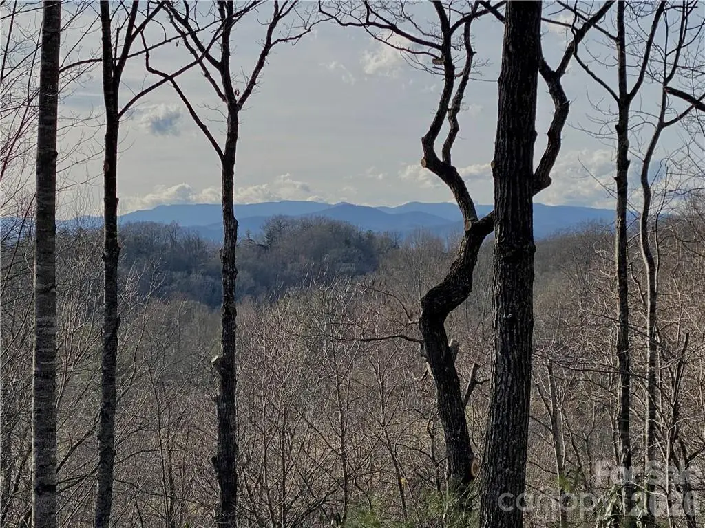 Lot #12 Cummings Cove Parkway #12, Hendersonville, NC 28739 - #1