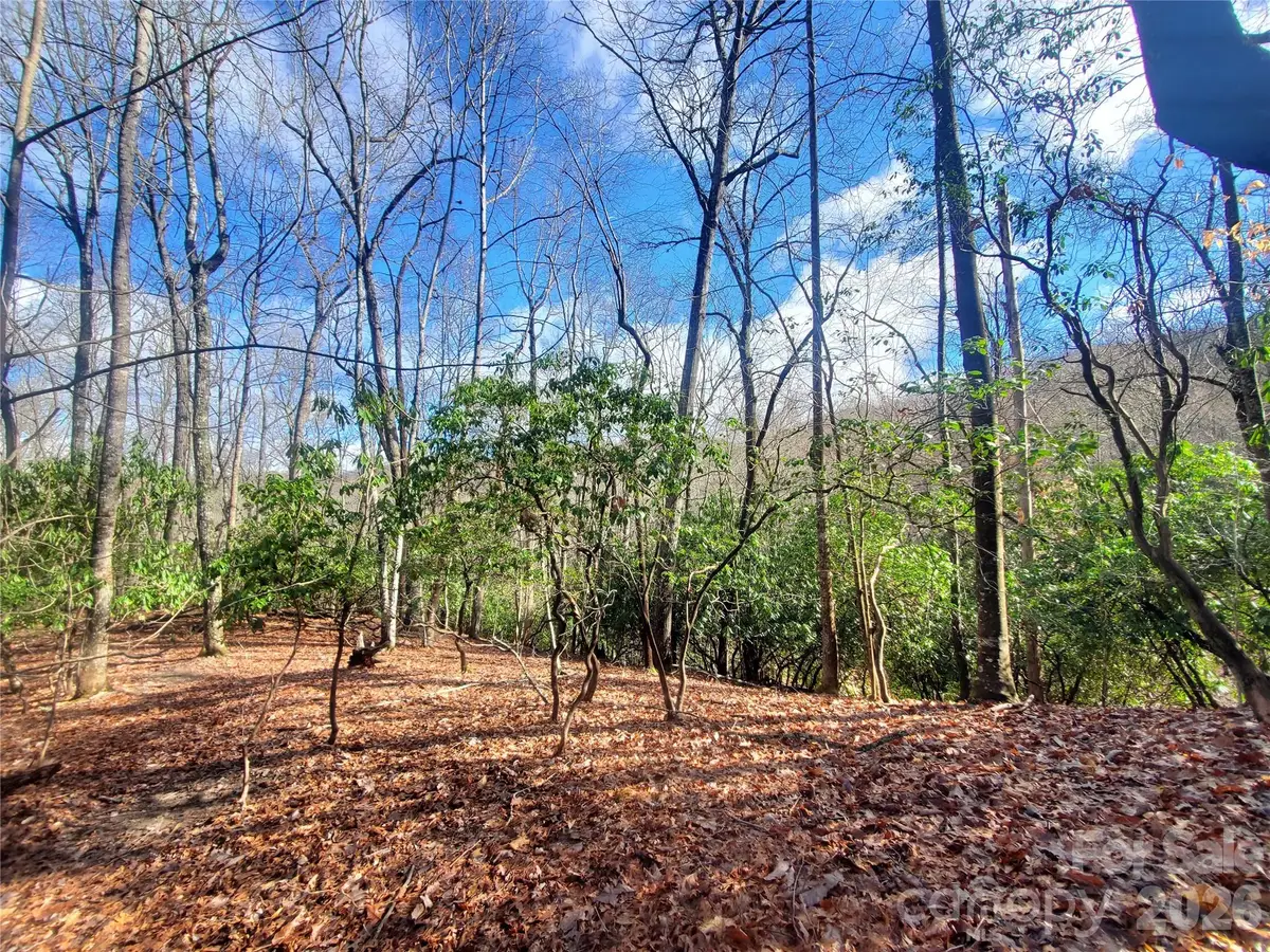 TBD Skye Drive #803a & 803b, Pisgah Forest, NC 28768 - #1