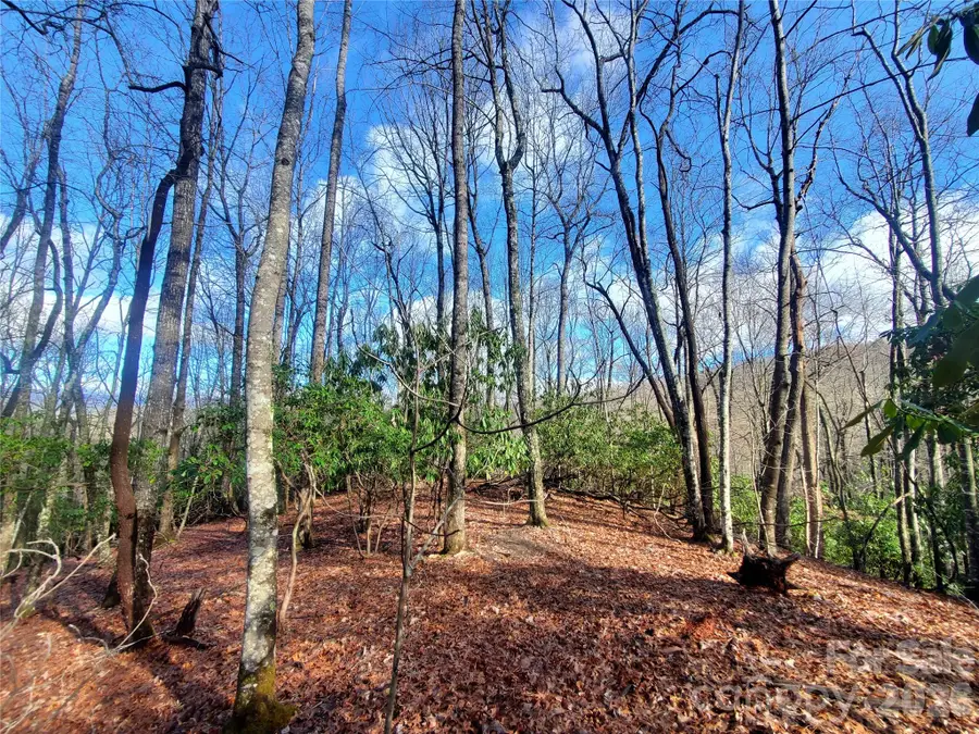 TBD Skye Drive #803a & 803b, Pisgah Forest, NC 28768 - #2