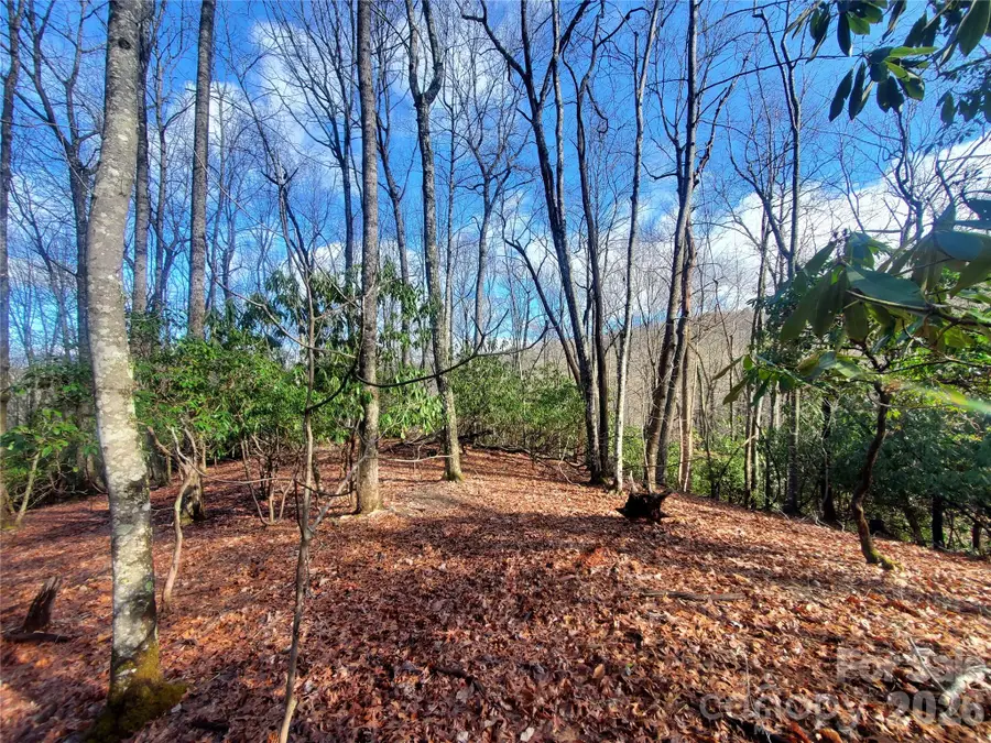 TBD Skye Drive #803a & 803b, Pisgah Forest, NC 28768 - #3