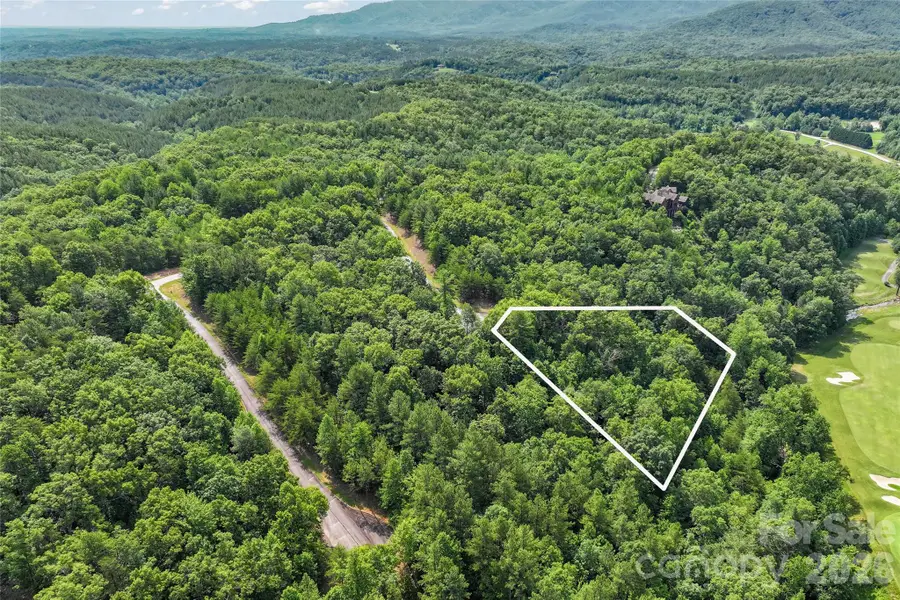 Lot 18 Stratford Place, Mill Spring, NC 28756 - #3