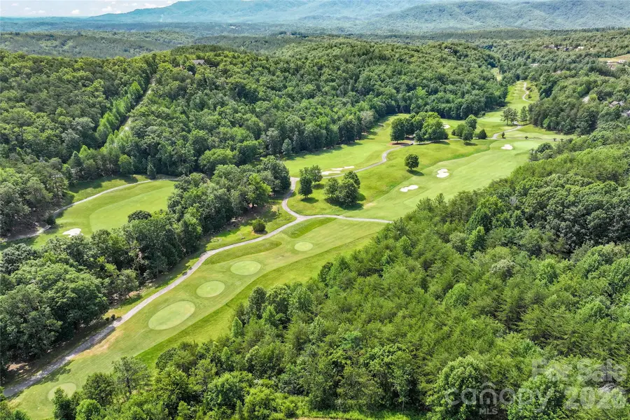 1361 E Deep Gap Farm Road, Mill Spring, NC 28756 - #3