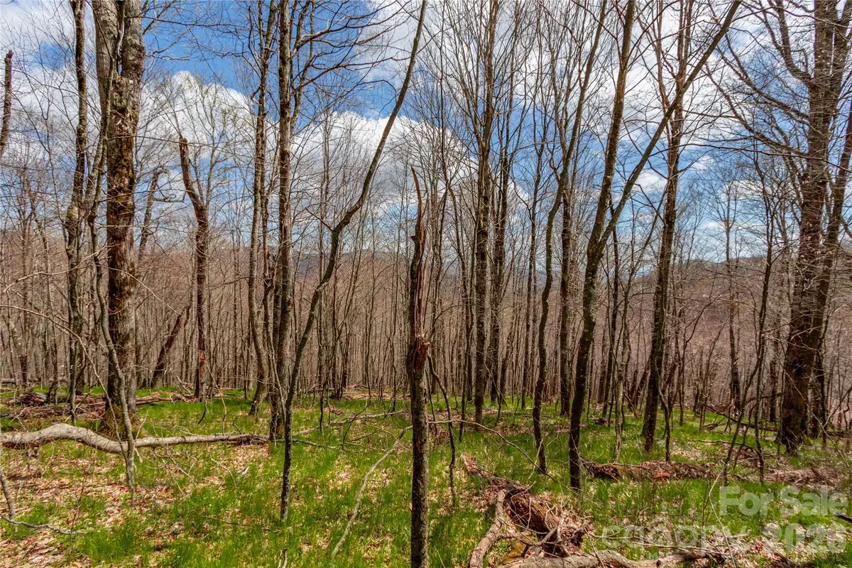 lots 4,5 & 7 Mule Trail Drive, Bakersville, NC 28705 - #1