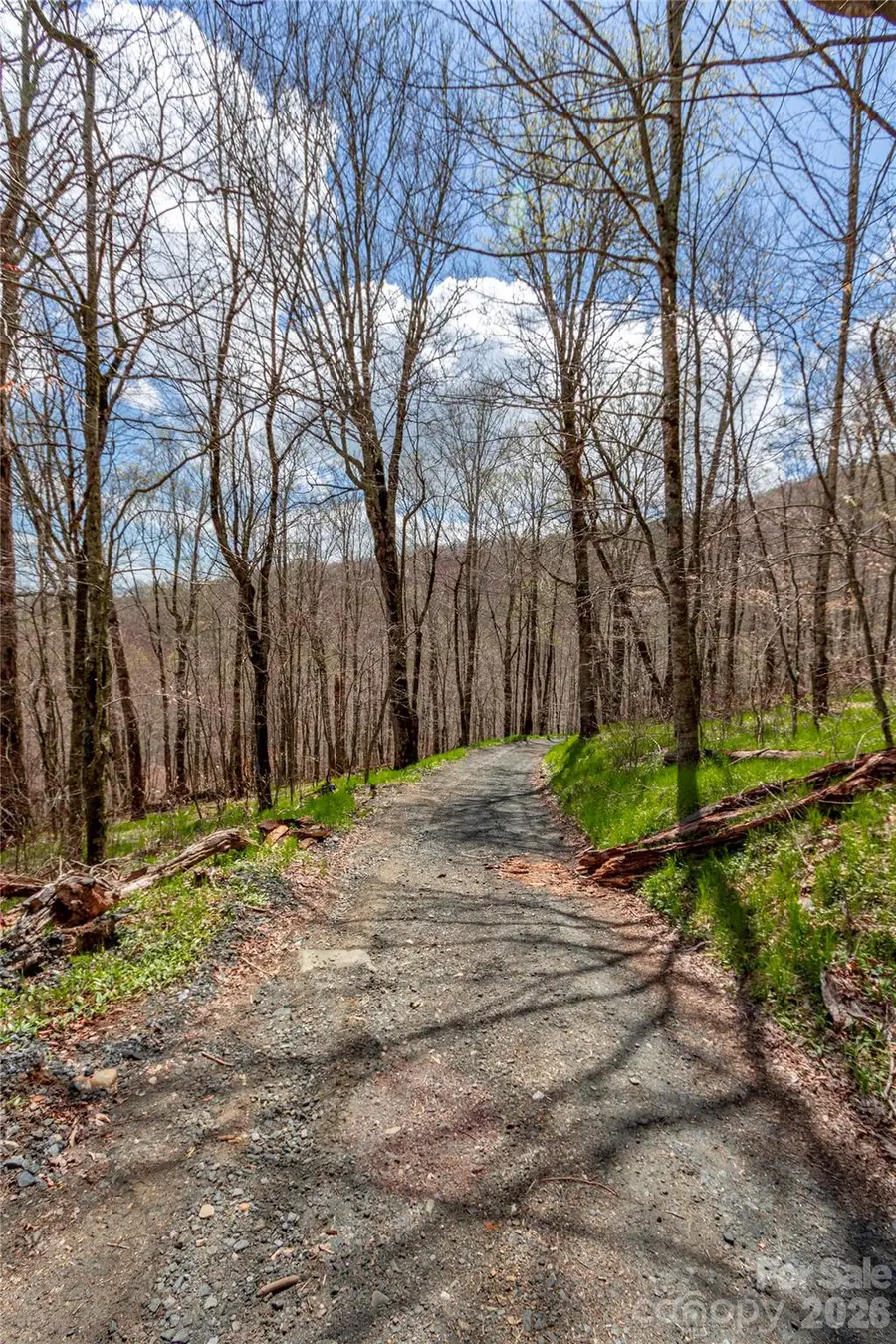 lots 4,5 & 7 Mule Trail Drive, Bakersville, NC 28705 - #2