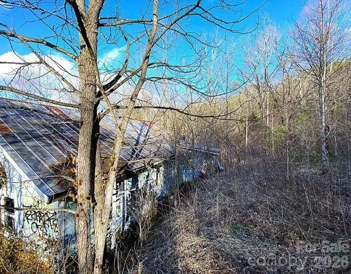 1141 Monteith Gap Road, Cullowhee, NC 28723 - #3