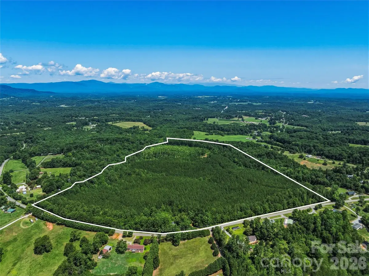 6783 Peniel Road, Tryon, NC 28782 - #1