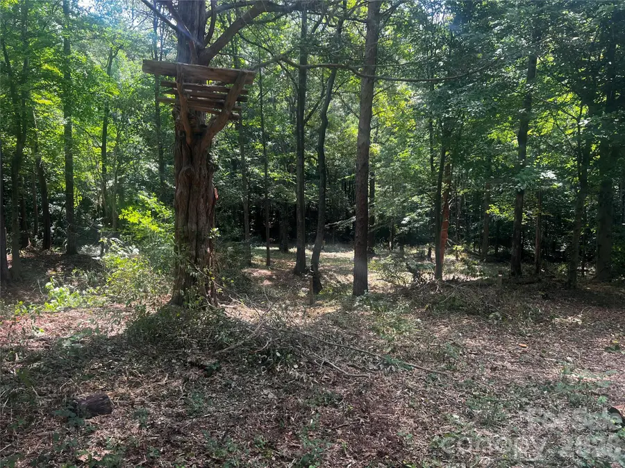 10376 Turnplow Drive #9, Davidson, NC 28036 - #3