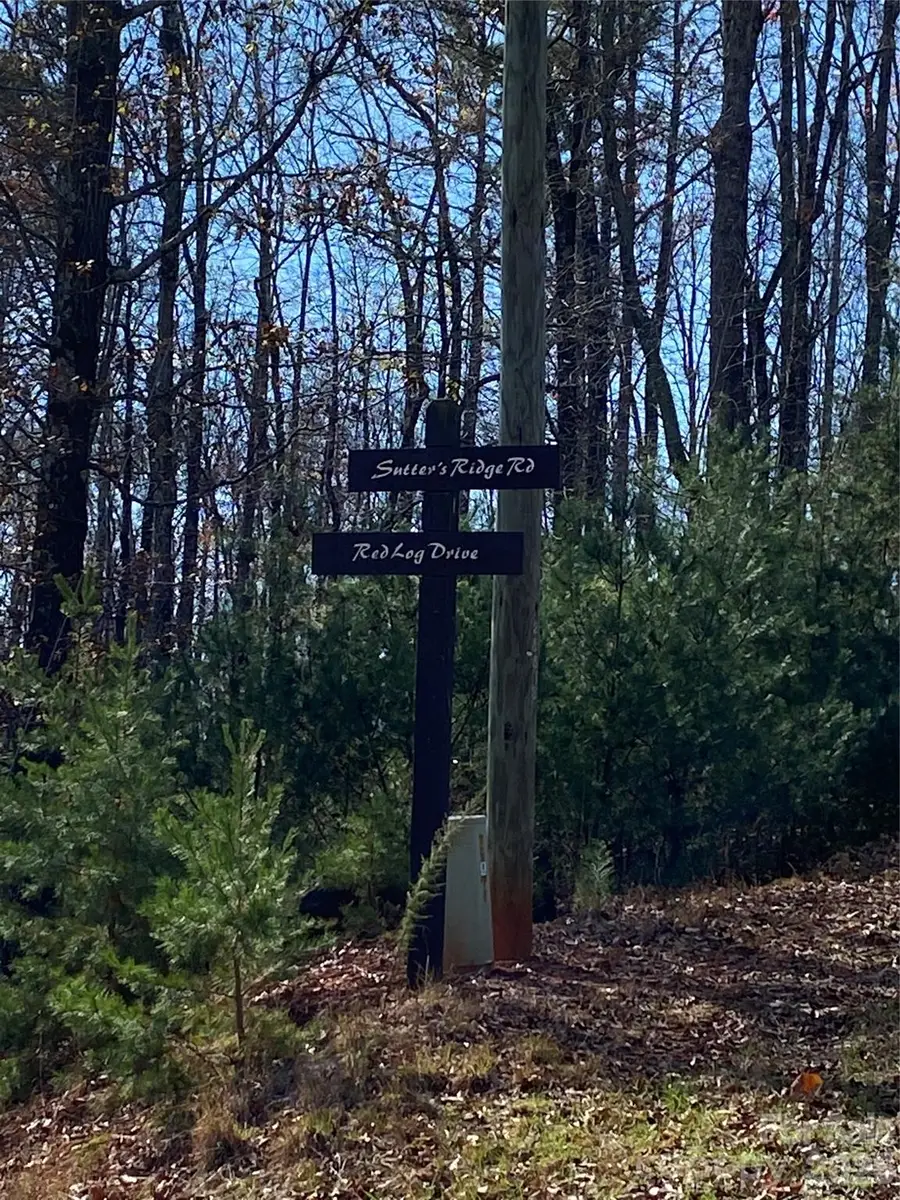 81 Sutters Ridge Road #81, McGrady, NC 28649 - #2
