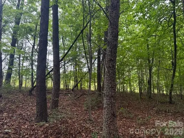 00 Bill Collins Road, Columbus, NC 28722 - #2