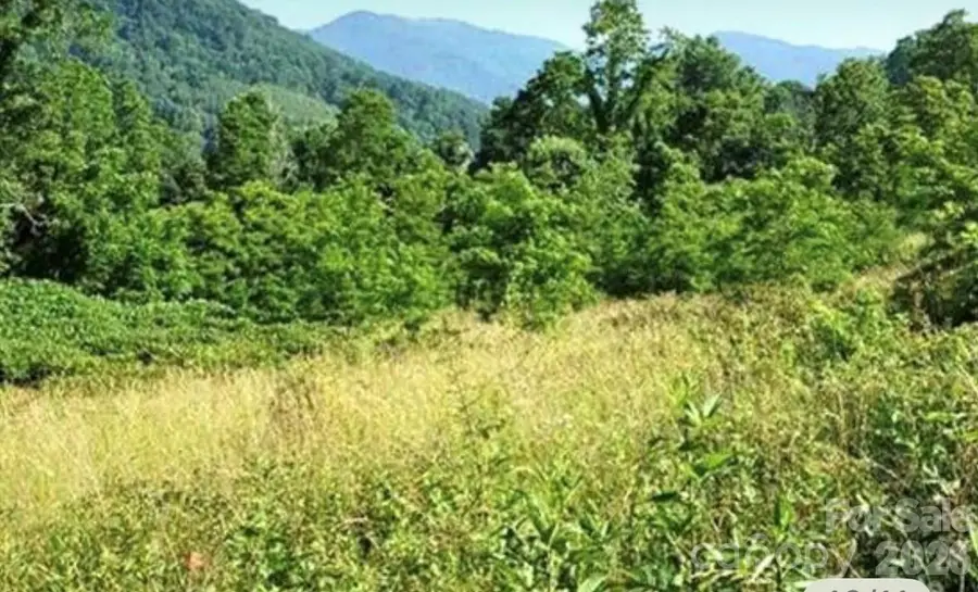 00 Split Pine Cove, Clyde, NC 28721 - #2