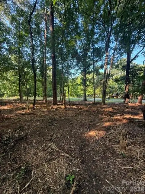 11219 Johnson Davis Road, Huntersville, NC 28078 - #2