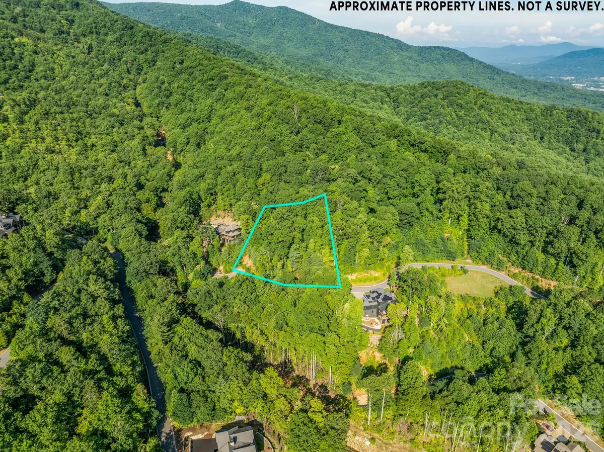 59 Old Greybeard Loop, Black Mountain, NC 28711 - #1
