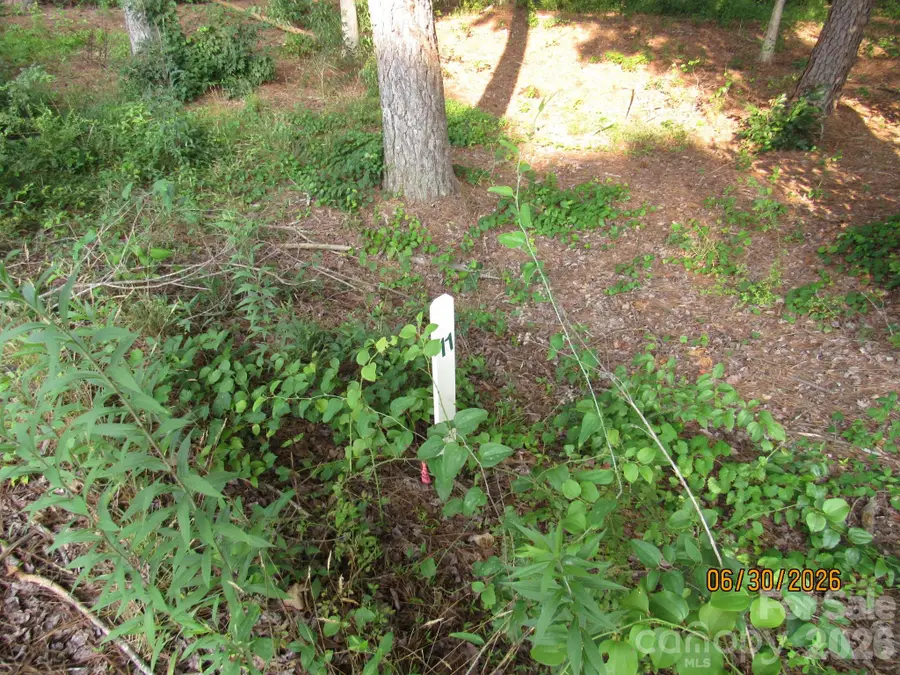 00 Church Road #Lot 11, Taylorsville, NC 28681 - #3