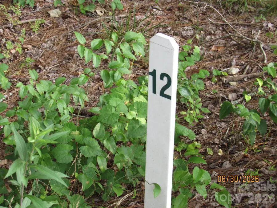 00 Church Road #12, Taylorsville, NC 28681 - #3