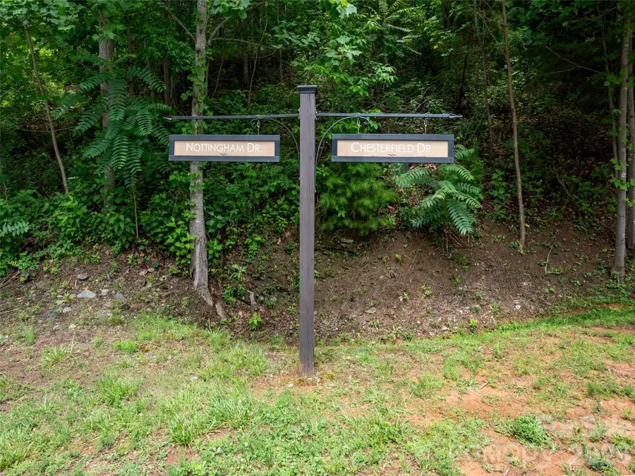 236 Nottingham Drive, Mill Spring, NC 28756 - #2