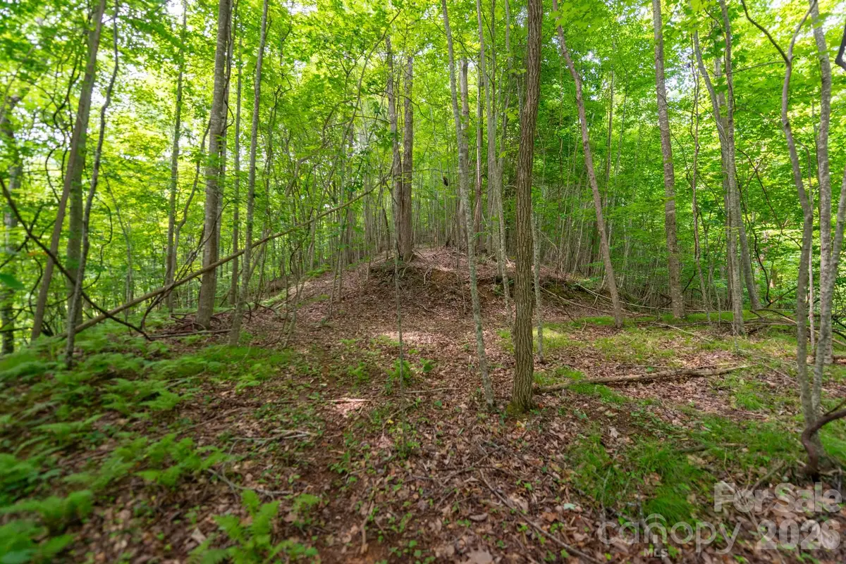### Board Tree Road #2, Marshall, NC 28753 - #1