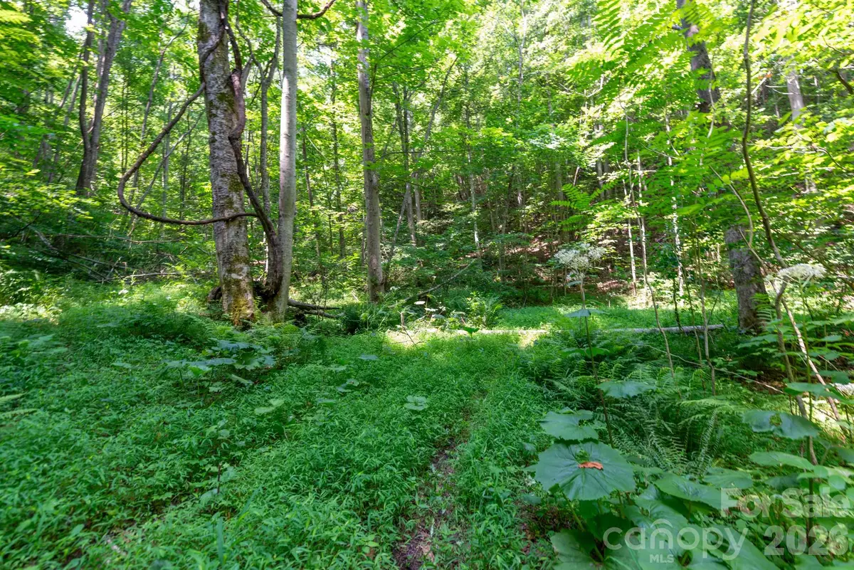 ### Board Tree Road #3, Marshall, NC 28753 - #1