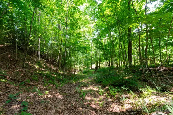 ### Board Tree Road #4, Marshall, NC 28753