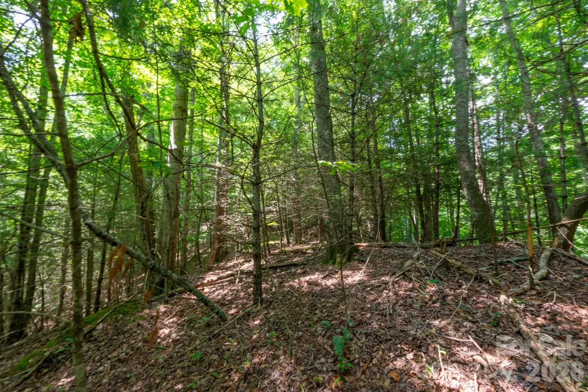 ### Board Tree Road #6, Marshall, NC 28753 - #1