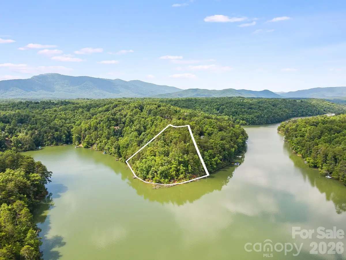00 Canoe Drive #40, Mill Spring, NC 28756 - #1