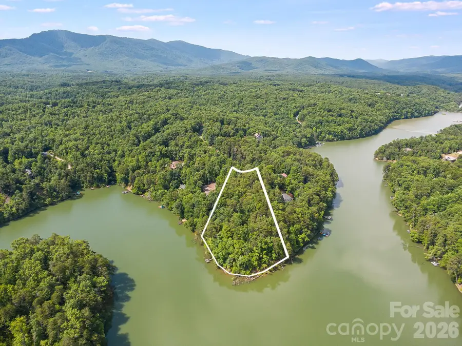 00 Canoe Drive #40, Mill Spring, NC 28756 - #2
