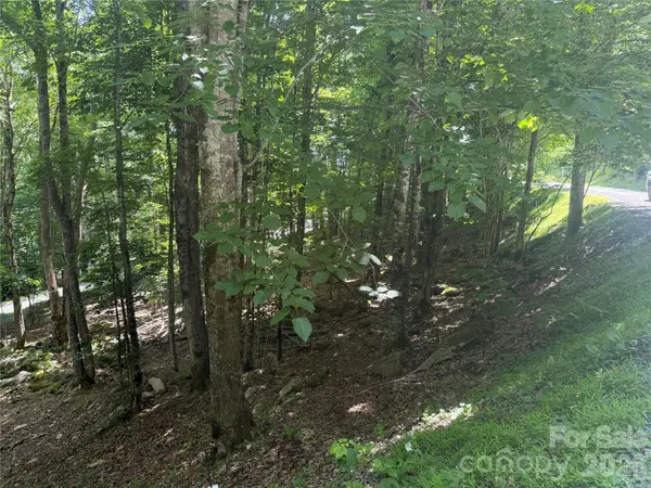 200 Wild Daisy Road #200, Beech Mountain, NC 28604