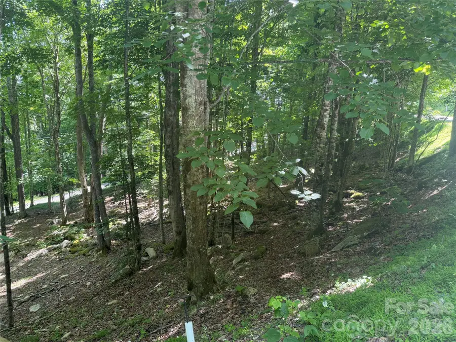 200 Wild Daisy Road #200, Beech Mountain, NC 28604 - #3