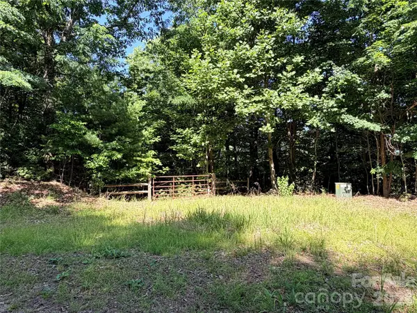 TBD Blue Rock Road #171 & 172B, Purlear, NC 28665