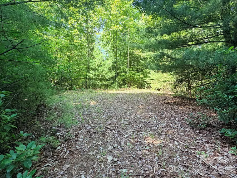 TBD Blue Rock Road #171 & 172B, Purlear, NC 28665 - #2