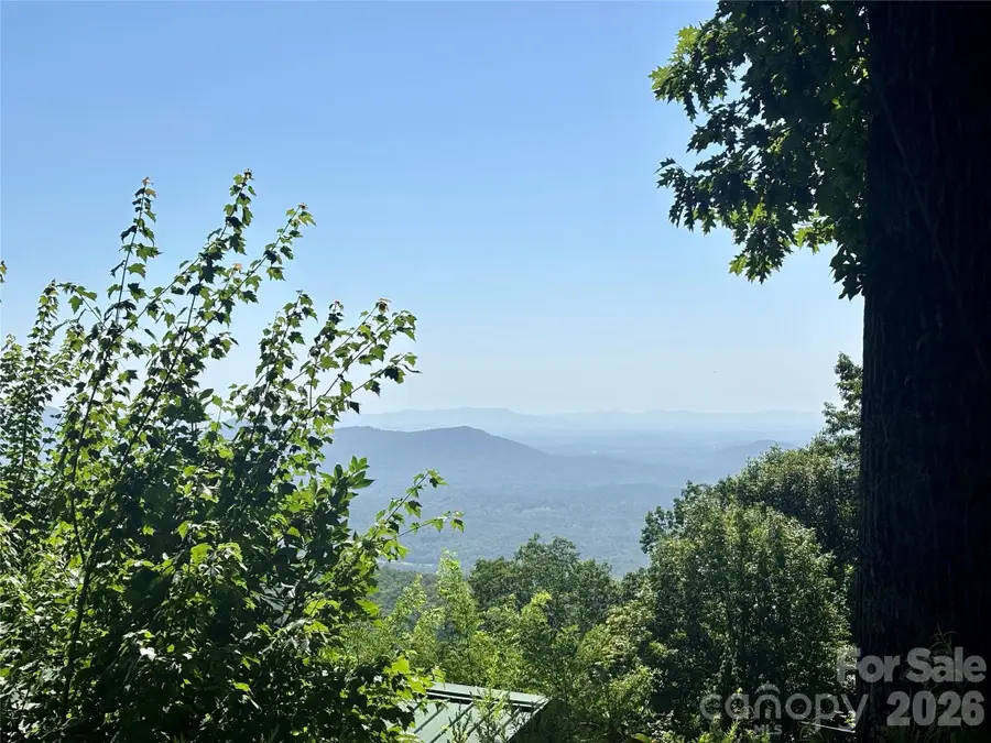 000 Williams Circle Nw #320, Lake Lure, NC 28746 - #3