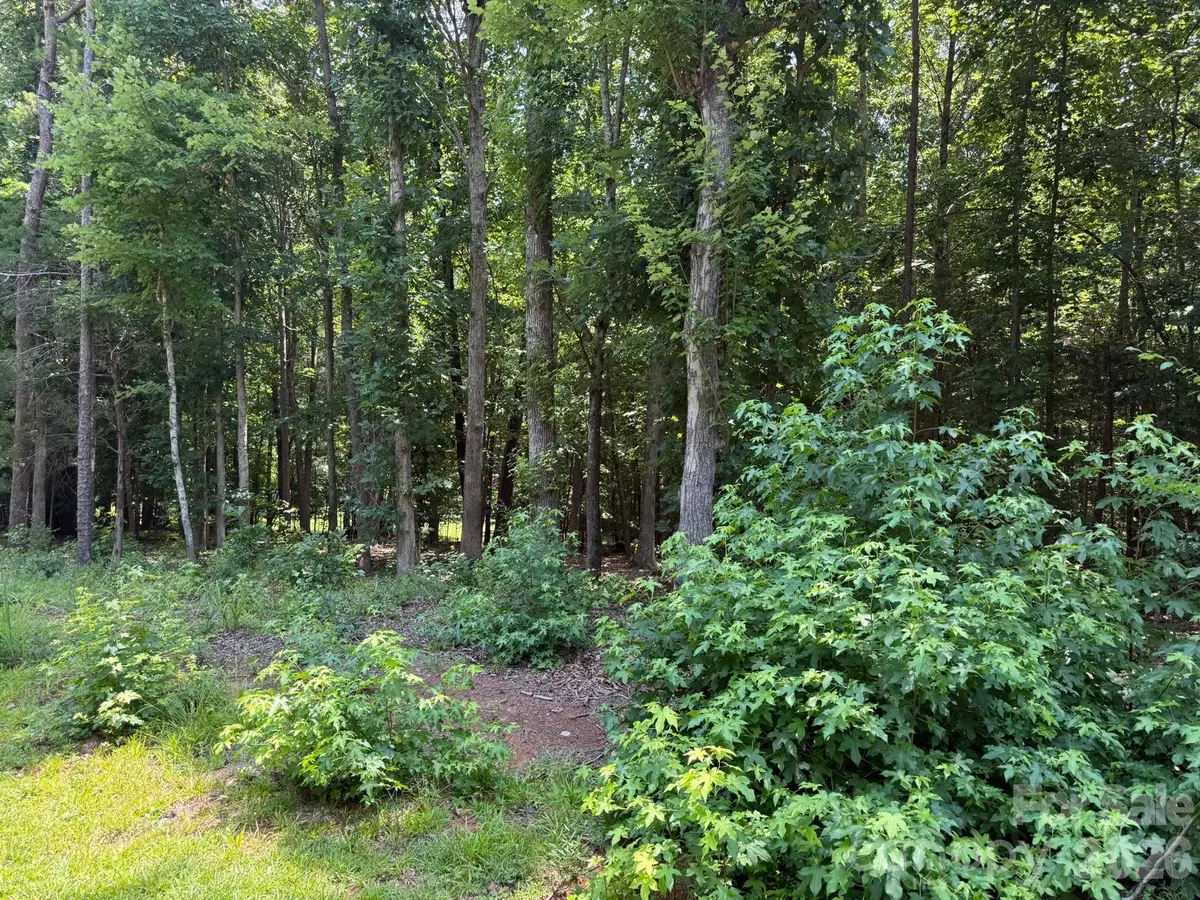 3207 Regal Oak Drive, Waxhaw, NC 28173 - #1