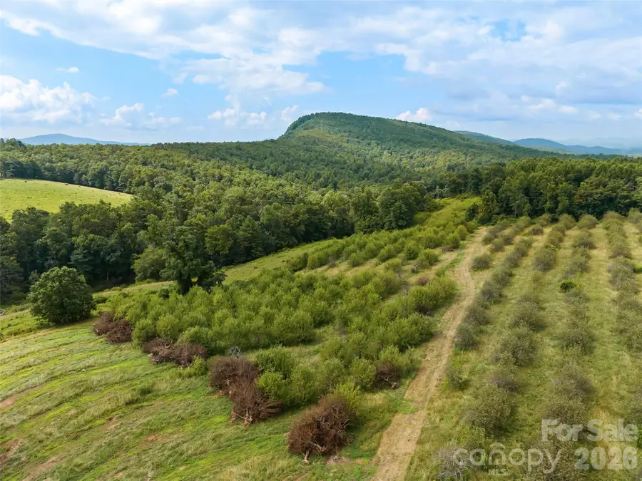 0 Summer Road #5, Hendersonville, NC 28792 - #3