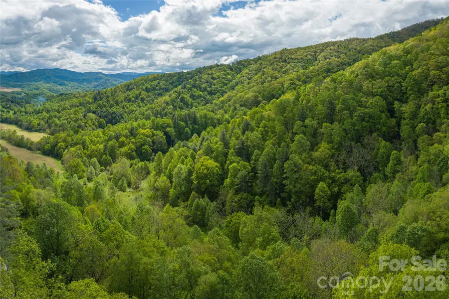 9999 Off Hurricane Ridge Trace, Clyde, NC 28721 - #2
