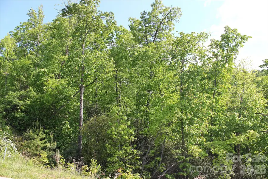 101 Wood Owl Court, Hendersonville, NC 28791 - #2