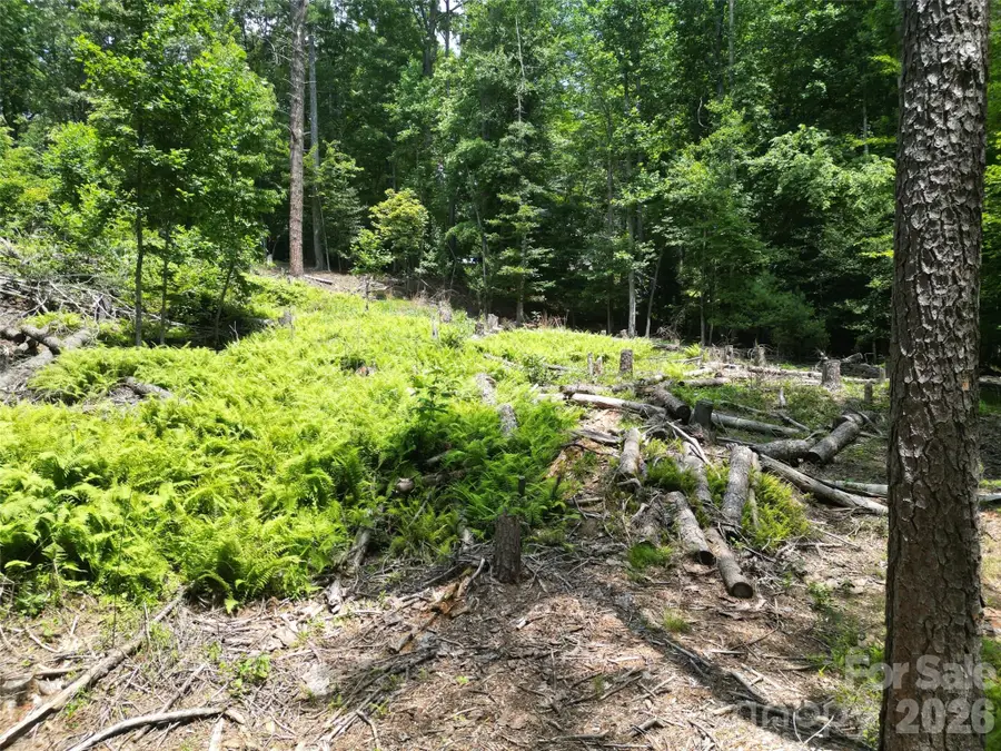 319 Valley Lane, Pisgah Forest, NC 28768 - #2