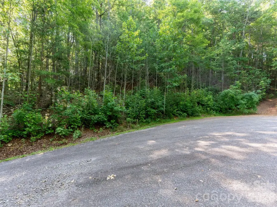 00 Rhododendron Drive #15 & 16, Saluda, NC 28773 - #2