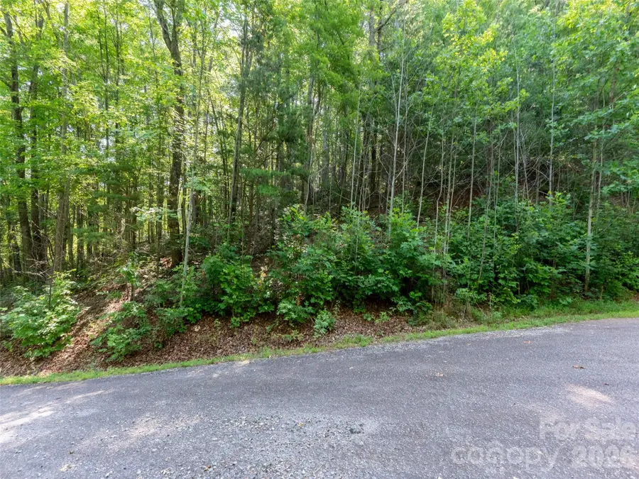 00 Rhododendron Drive #15 & 16, Saluda, NC 28773 - #3