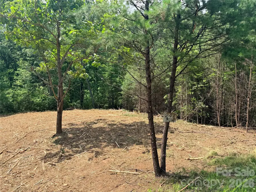 0 Rock Ledge Drive #247, Lake Lure, NC 28746 - #3