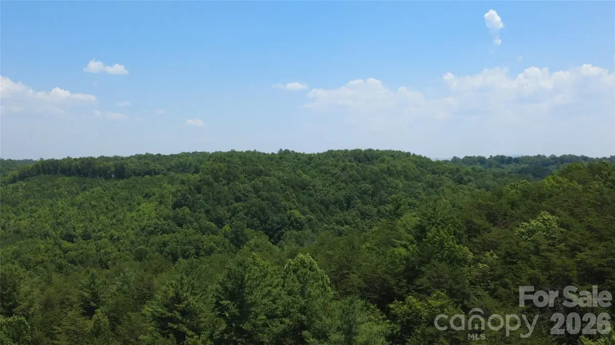 4691 Snowhill Church Road, Morganton, NC 28655 - #1