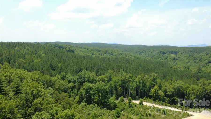 4691 Snowhill Church Road, Morganton, NC 28655 - #2