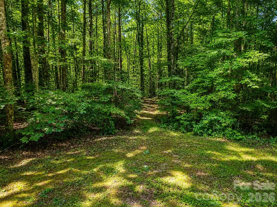 49 Trillium Trail, Nebo, NC 28761 - #3