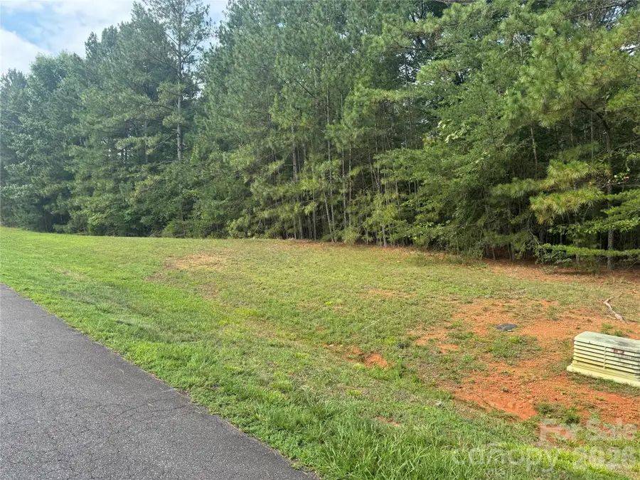 205 Riverwalk Drive, Connelly Springs, NC 28612 - #2