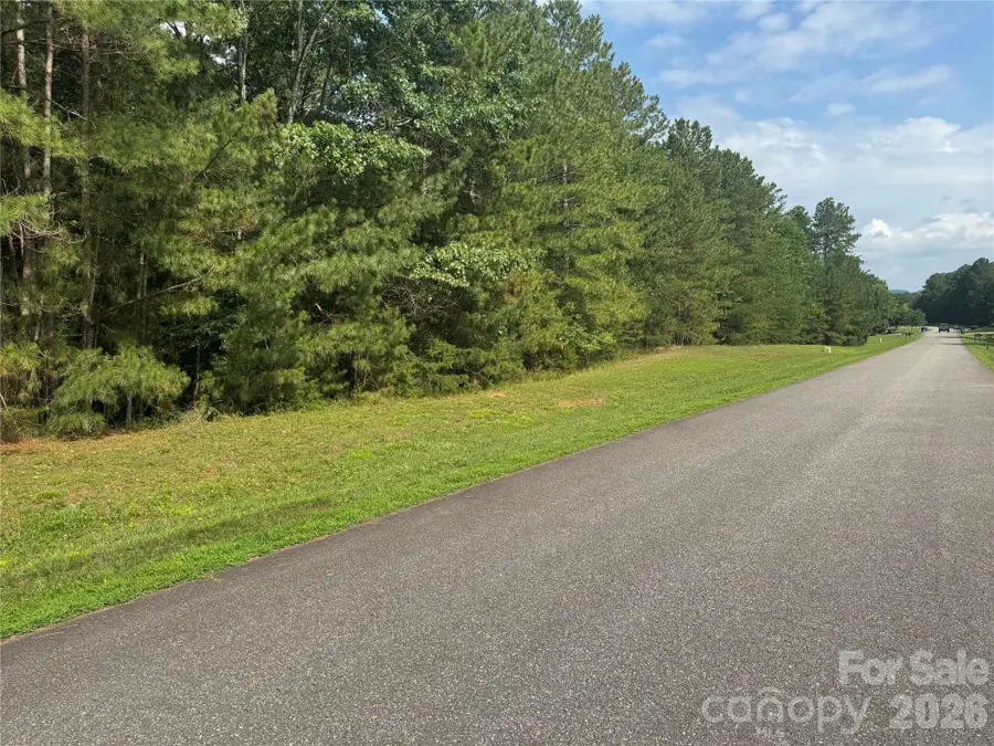205 Riverwalk Drive, Connelly Springs, NC 28612 - #3