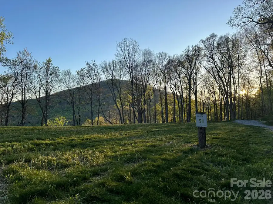 000 Hemlock Grove Trail #51, Fletcher, NC 28732 - #2