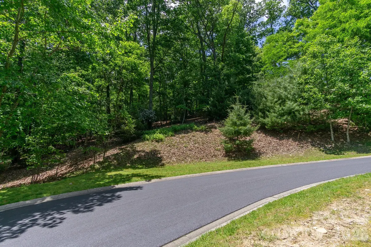 lot 53R Mills River Way #Lot 53R, Horse Shoe, NC 28742 - #1