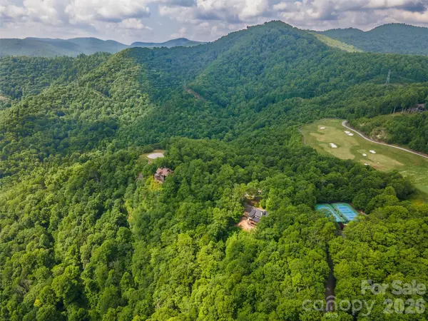 633 Steeplebush Court, Tuckasegee, NC 28783